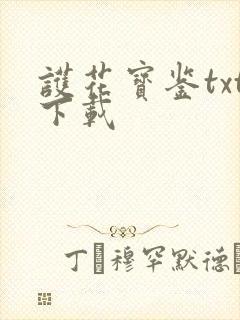 护花宝鉴txt下载