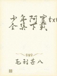 少年阿宾txt全集下载