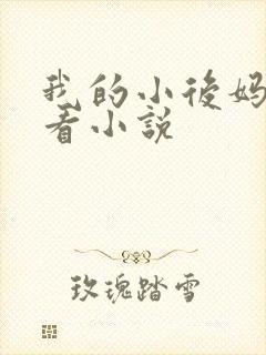 我的小后妈免费看小说