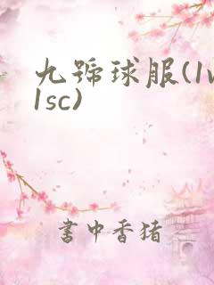 九号球服(1v1sc)
