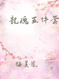 龙魂五件套