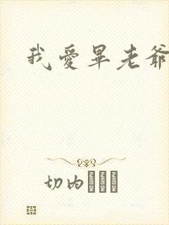 我爱毕老爷