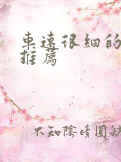 车速很细的小说推荐