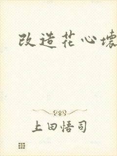 改造花心坏相公