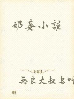 奶妾小说
