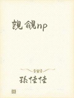 觊觎np
