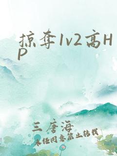 掠夺1v2高HP