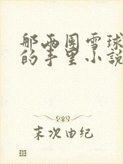 那两团雪球在他的手里小说