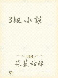 3级小说