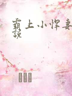 霸上小悍妻 小说