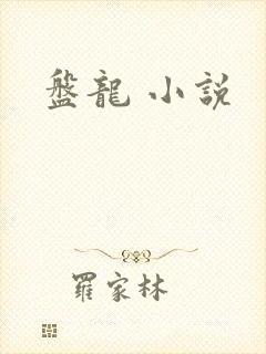 盘龙 小说