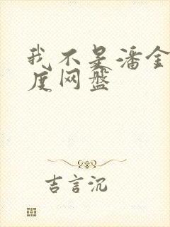我不是潘金莲百度网盘