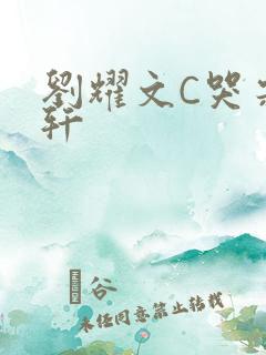 刘耀文C哭宋亚轩