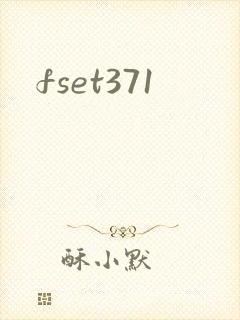 fset371