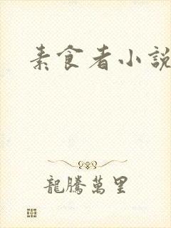 素食者小说
