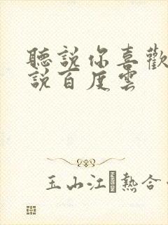 听说你喜欢我小说百度云