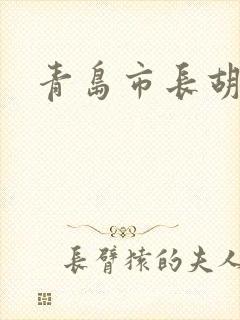 青岛市长胡学峰