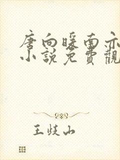 唐向暖南亦琛的小说免费观看