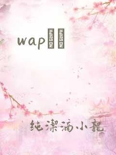 wapС˵
