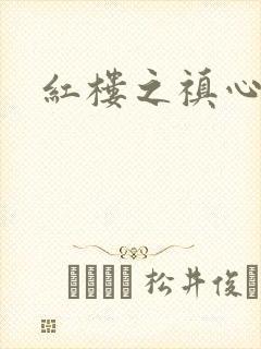 红楼之禛心锁玉