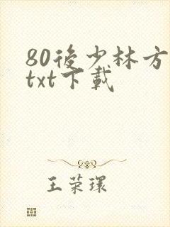 80后少林方丈txt下载