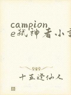 campione弑神者小说
