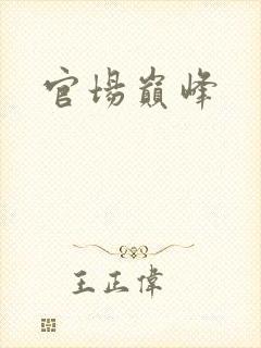 官场巅峰