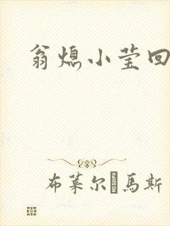 翁熄小莹回乡下