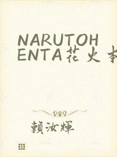 NARUTOHENTA花火本子