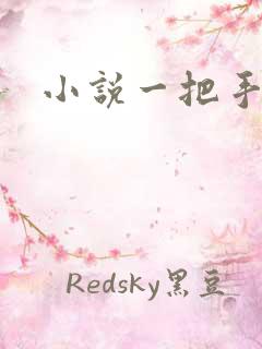 小说一把手