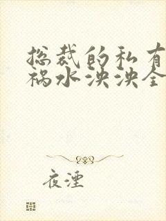 总裁的私有宝贝祸水泱泱全文阅读