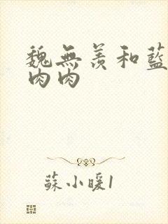 魏无羡和蓝忘机肉肉