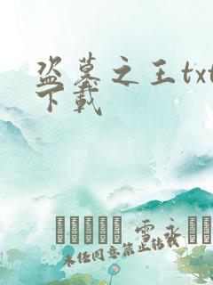 盗墓之王txt下载