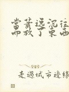 当萧逸沉往你里面放了东西小玩具