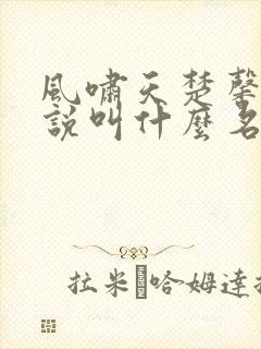 风啸天楚馨月小说叫什么名字