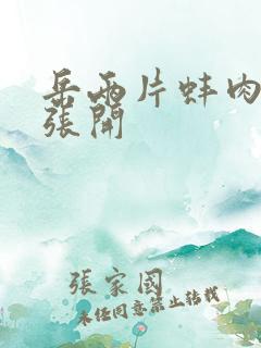 岳两片蚌肉缓缓张开