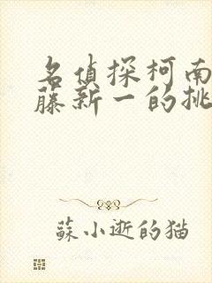 名侦探柯南给工藤新一的挑战书