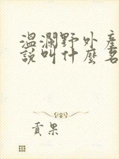 温澜野外产子小说叫什么名字