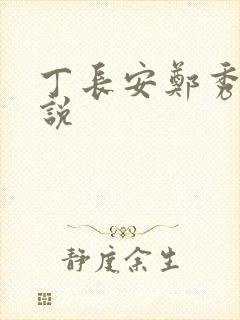 丁长安郑秀兰小说