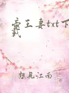 帝王妻txt下载