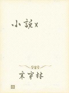 小说x