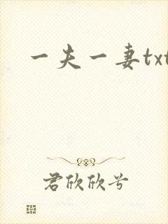 一夫一妻txt