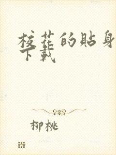 校花的贴身保镖下载