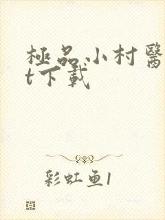 极品小村医txt下载