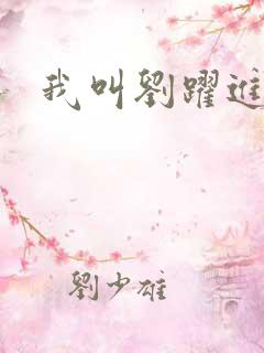 我叫刘跃进下载