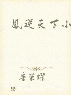 凤逆天下小说