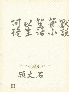 何以笙箫默之婚后生活小说