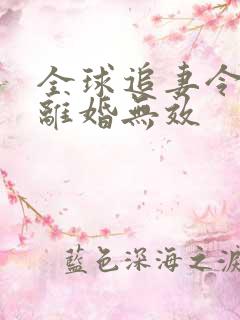 全球追妻令老婆离婚无效