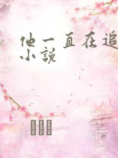 他一直在追初恋小说