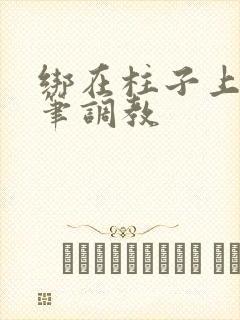 绑在柱子上用毛笔调教